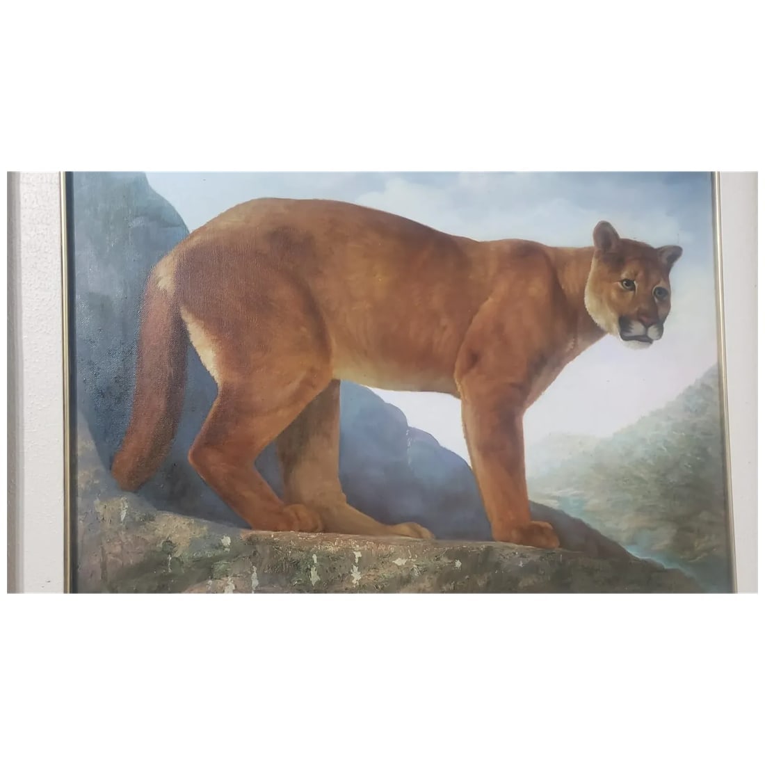 Diez Gallo — Puma Concolor (Cougar), 1980 — Signed Oil on Canvas, Framed - 4