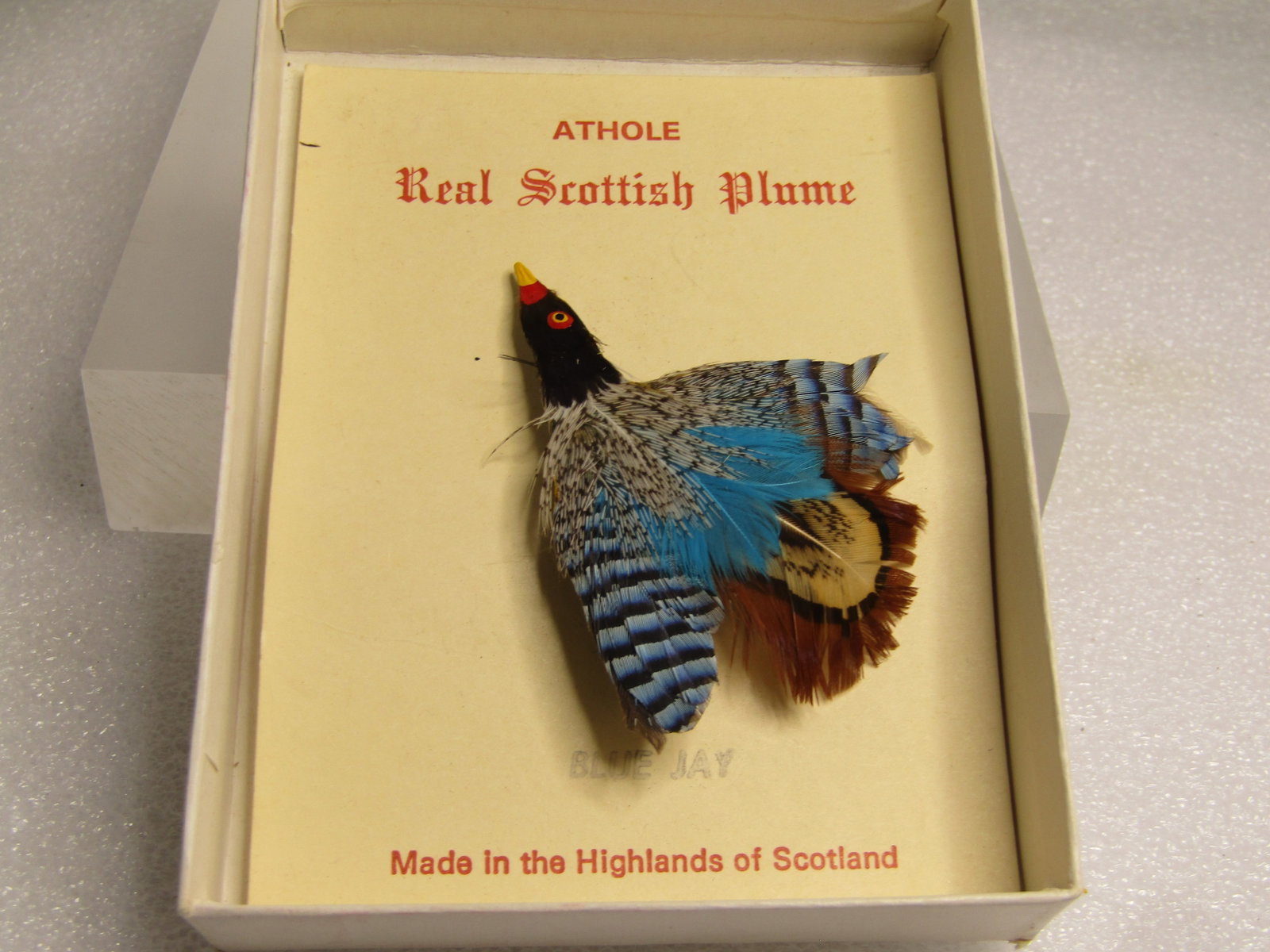 Vintage Scottish Plume Bird Brooch, Original Box, Athole Blue Jay, 1960's (1 of 7)