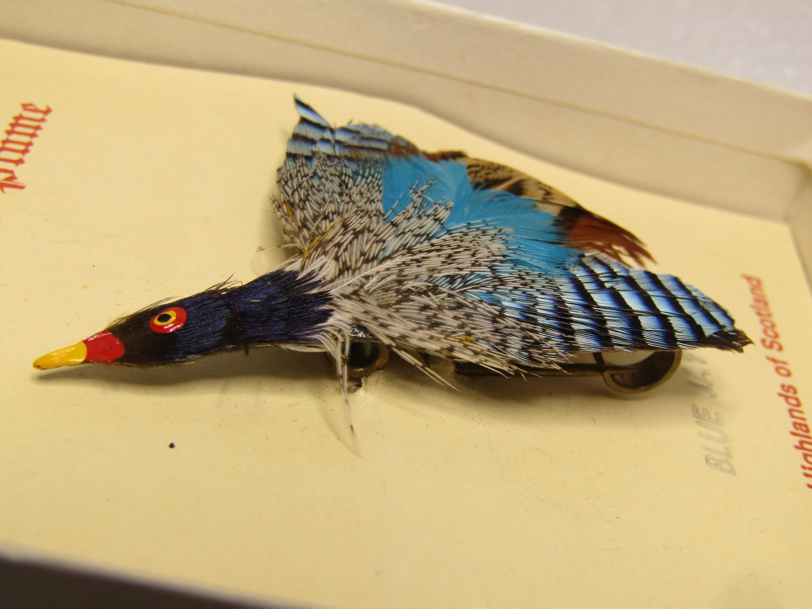 Vintage Scottish Plume Bird Brooch, Original Box, Athole Blue Jay, 1960's - 2