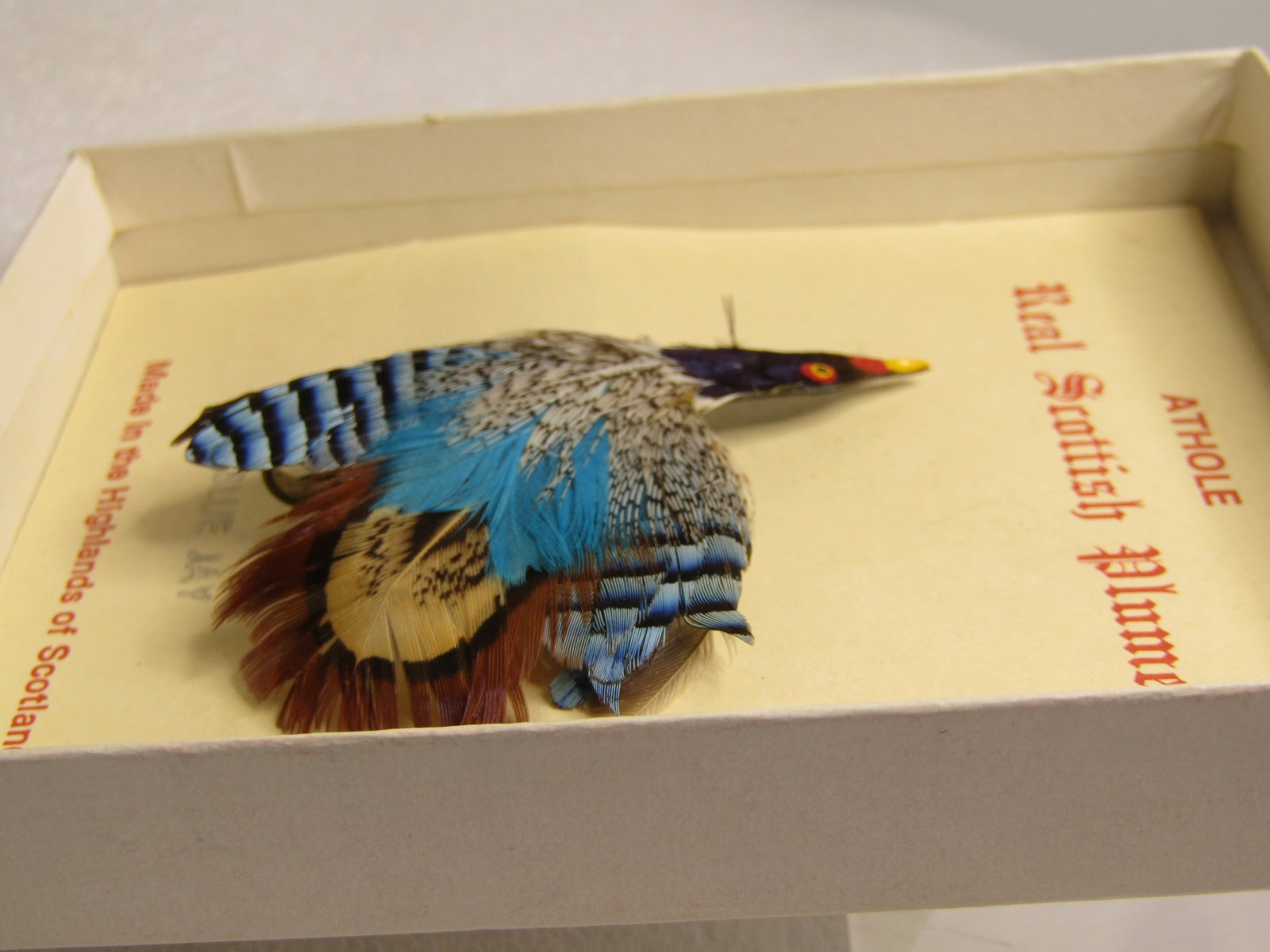 Vintage Scottish Plume Bird Brooch, Original Box, Athole Blue Jay, 1960's - 3