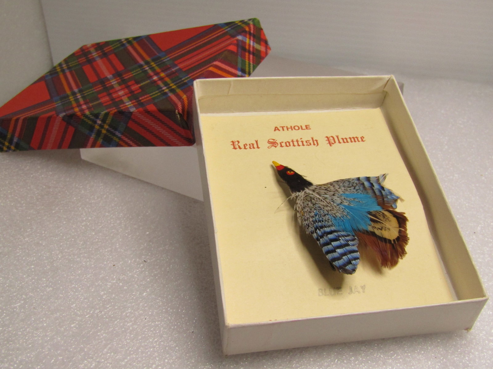 Vintage Scottish Plume Bird Brooch, Original Box, Athole Blue Jay, 1960's - 6