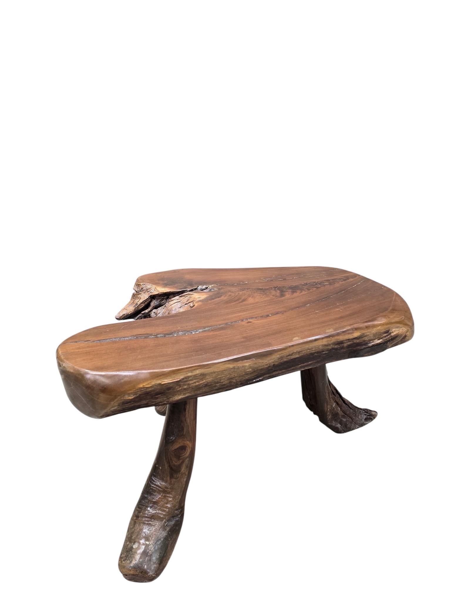 Vintage Live Edge Wood Slab Table - 3