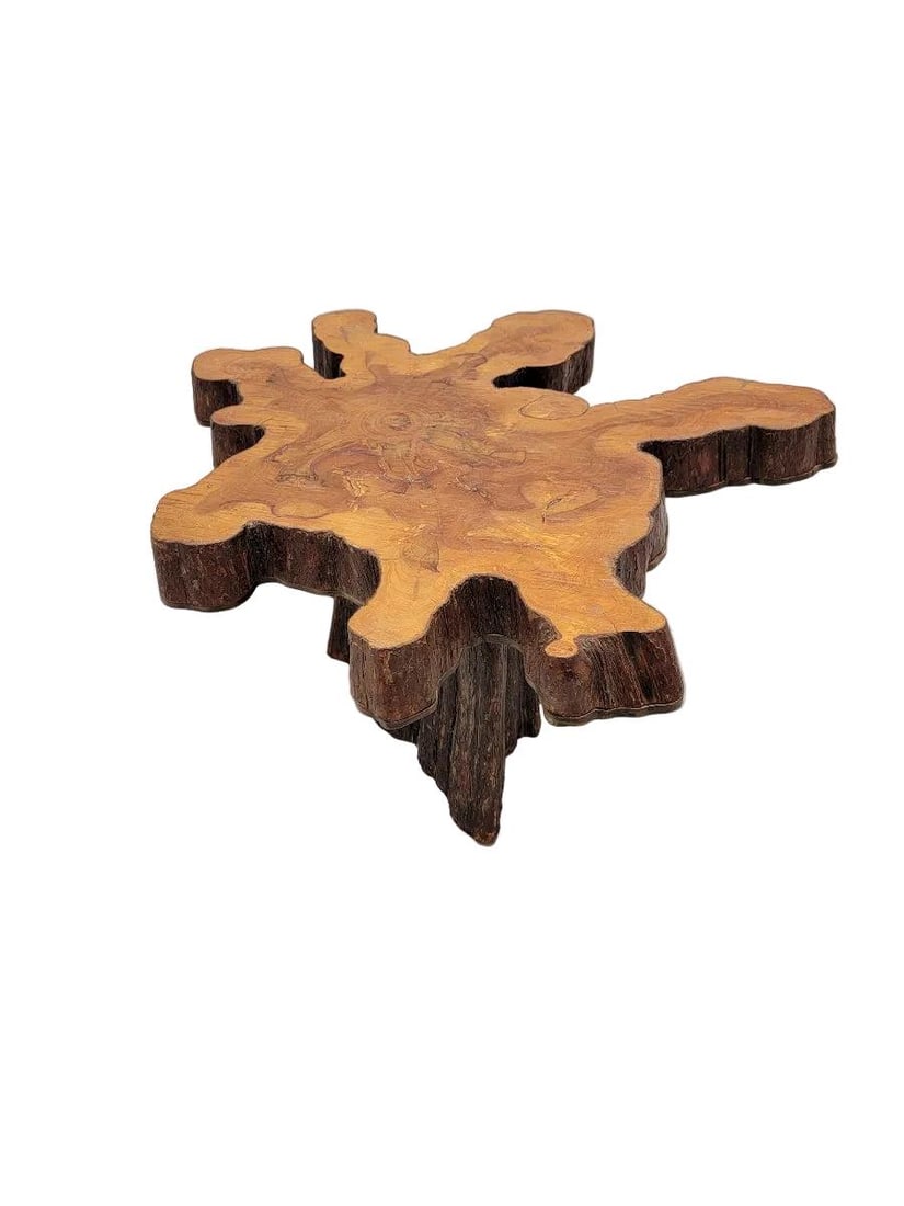Vintage Live Edge Natural Free-Form Tree Cut Coffee Table - 5