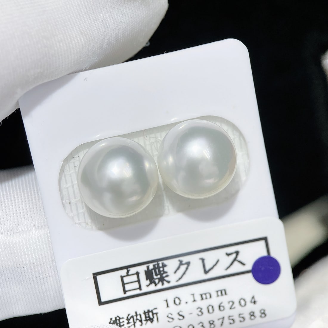 Natural Saltwater White Pearl - 2