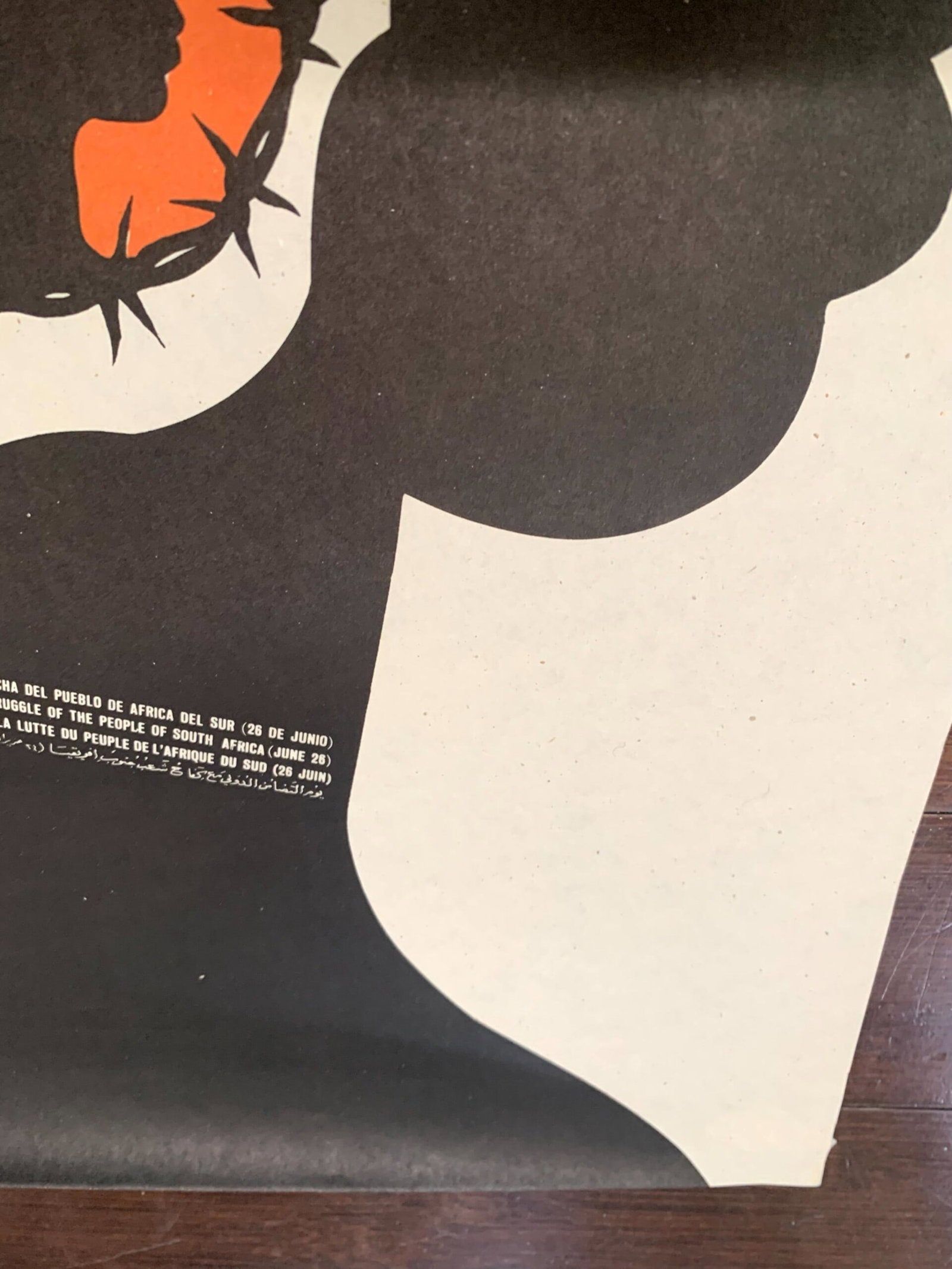 South African Aparthaid Movement - Art by Mederos (1970) 12.5x21 Protest Poster - 2