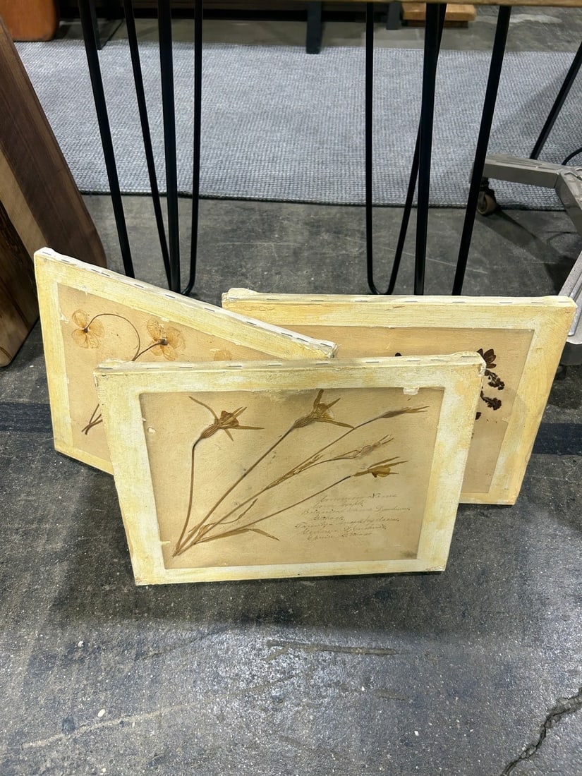 Set of Three Botanical Studies on Canvas Board - 2
