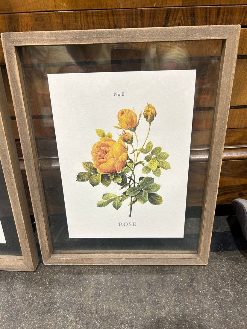 Pair of Framed Botanical Prints: Rose and Peony - 2