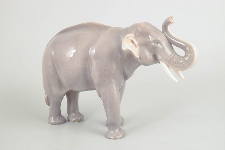 Royal Copenhagen, Denmark. Large porcelain African elephant figure with raised trunk. Approx. 1920s. - 2