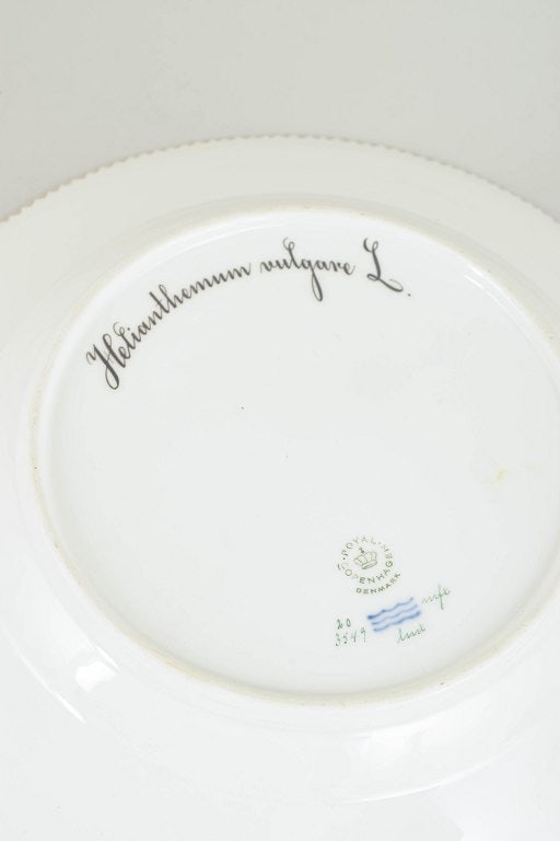 Royal Copenhagen, Denmark. Flora Danica porcelain dinner plate with botanical motif. Dated 1962. - 5
