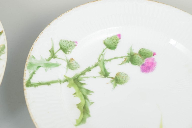 Royal Copenhagen, Denmark. Set of three porcelain deep pasta plates with thistle motif. Second half - 3