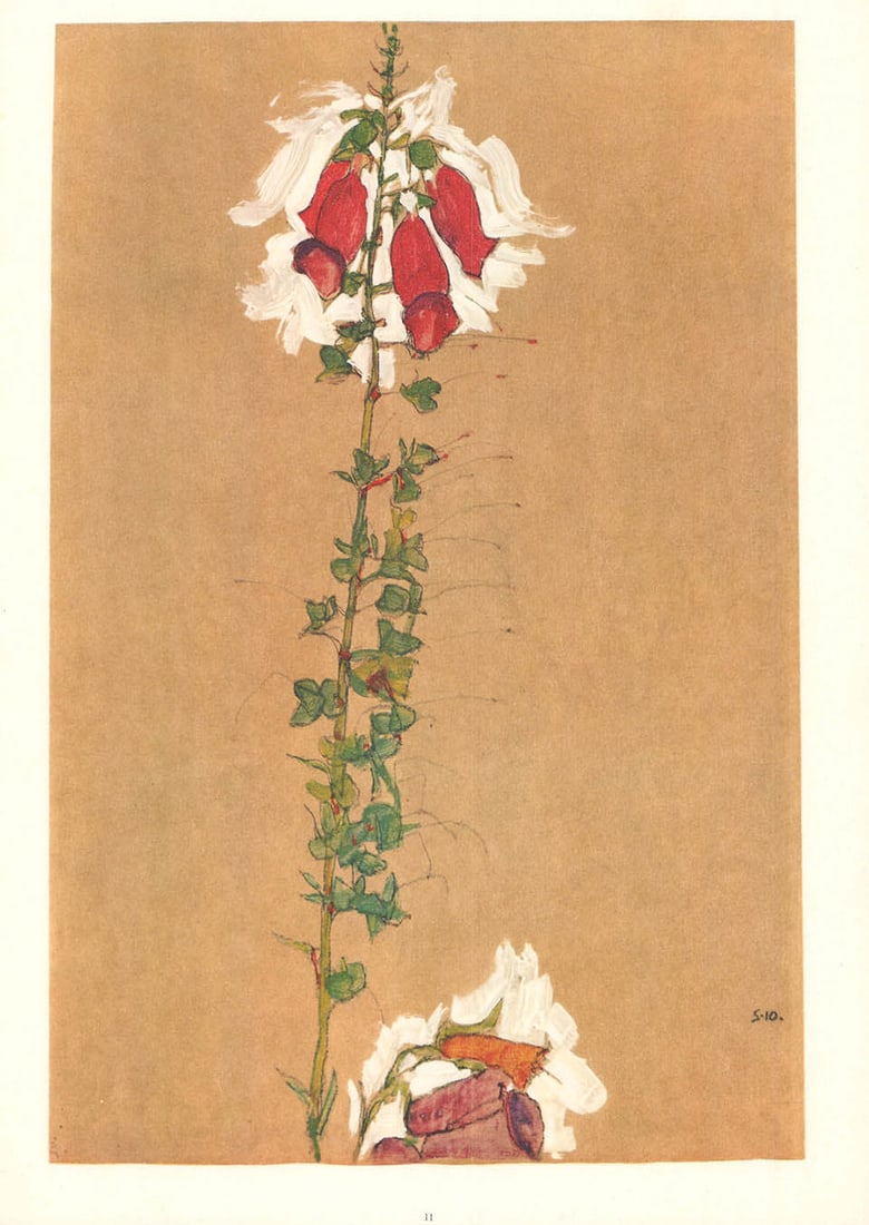 1968 Egon Schiele Lithograph 11 Red Foxglove: Title: 1968 Egon Schiele Lithograph 11 Red Foxglove Description: Artist:Egon Schiele \nCountry:Austria \nTitle:Red Foxglove \nMedium:Lithograph - 11 \nMarks:Signed in plate \nPrinted:1968 by Max Jaffe