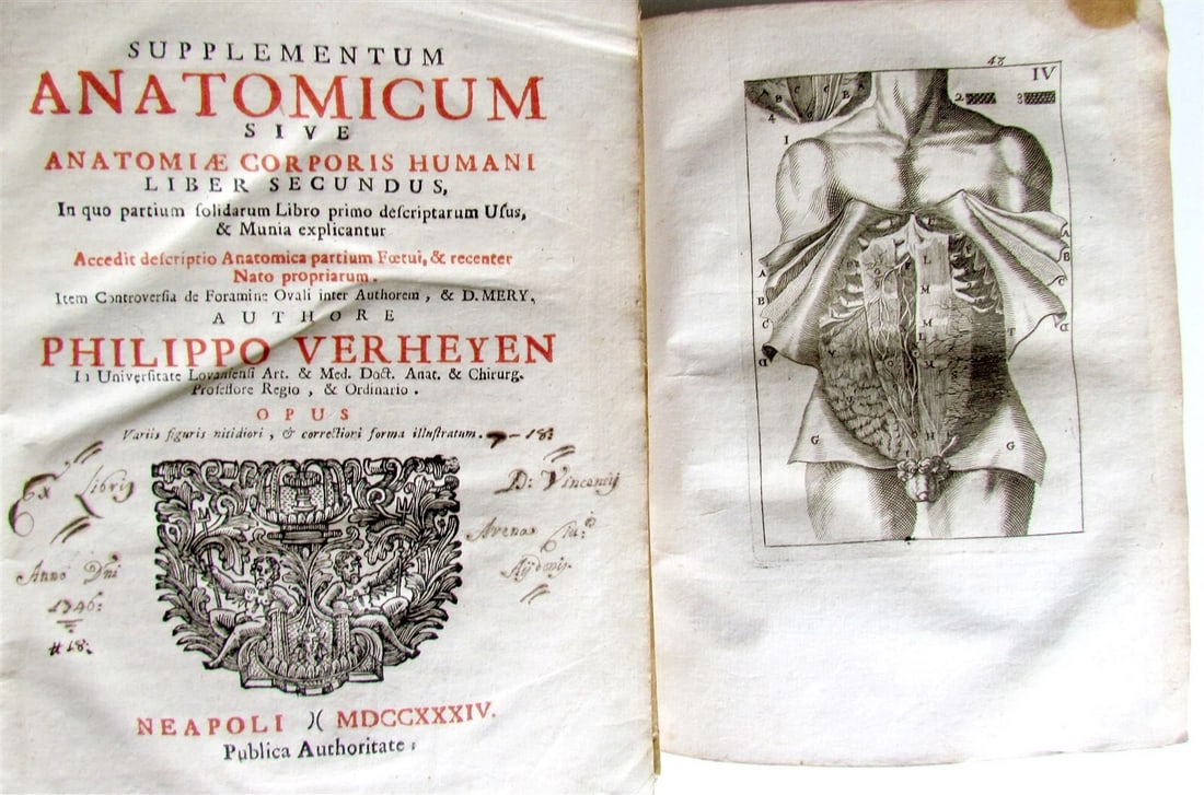 1717 2 VOLUMES ANATOMY ILLUSTRATED CORPORIS HUMANI ANATOMIAE antique in LATIN: Corporis humani Anatomiae liber primus... editio tertia... Supplementum Anatomicum sive anatomiae corporis humani liber secundus. by Philippo Verheyen 2 vols. Naples, Gessari ; 171734 Size 7 by 9" Wit