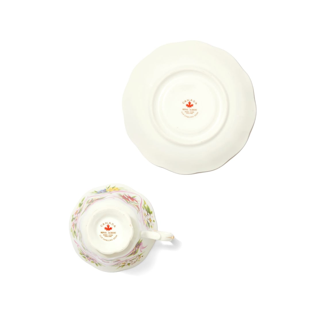 Bone Chine Teacup and Saucer - 7