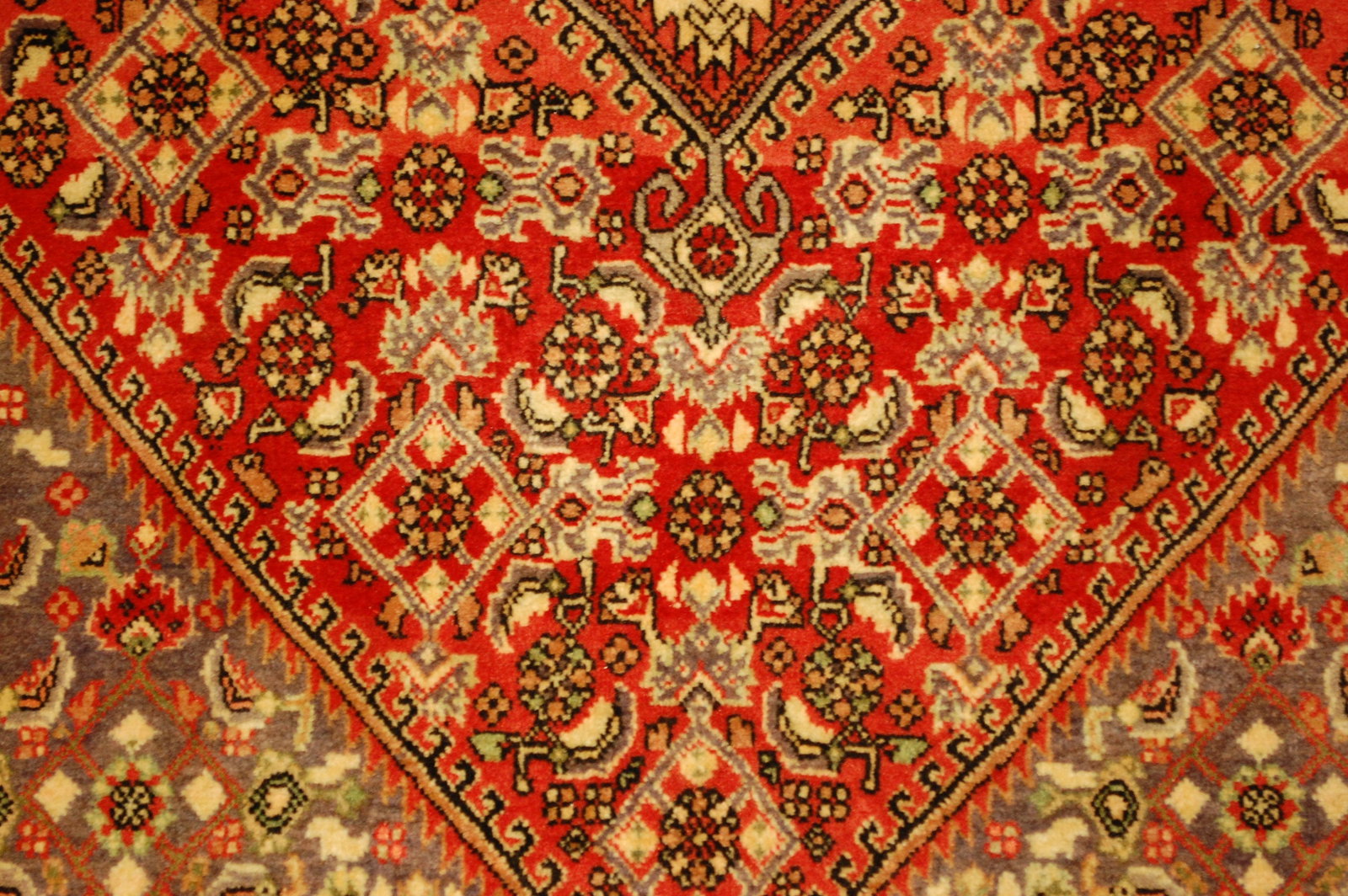 PERSIAN BEJAR RUG 3.1x4.7 - 7