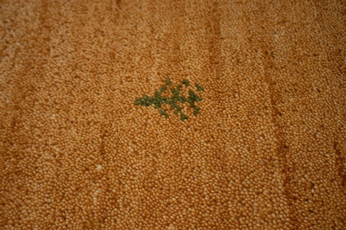 Rusty Peach Bordered Tribal 2'9X6'4 Indo-Gabbeh Oriental Rug - 8