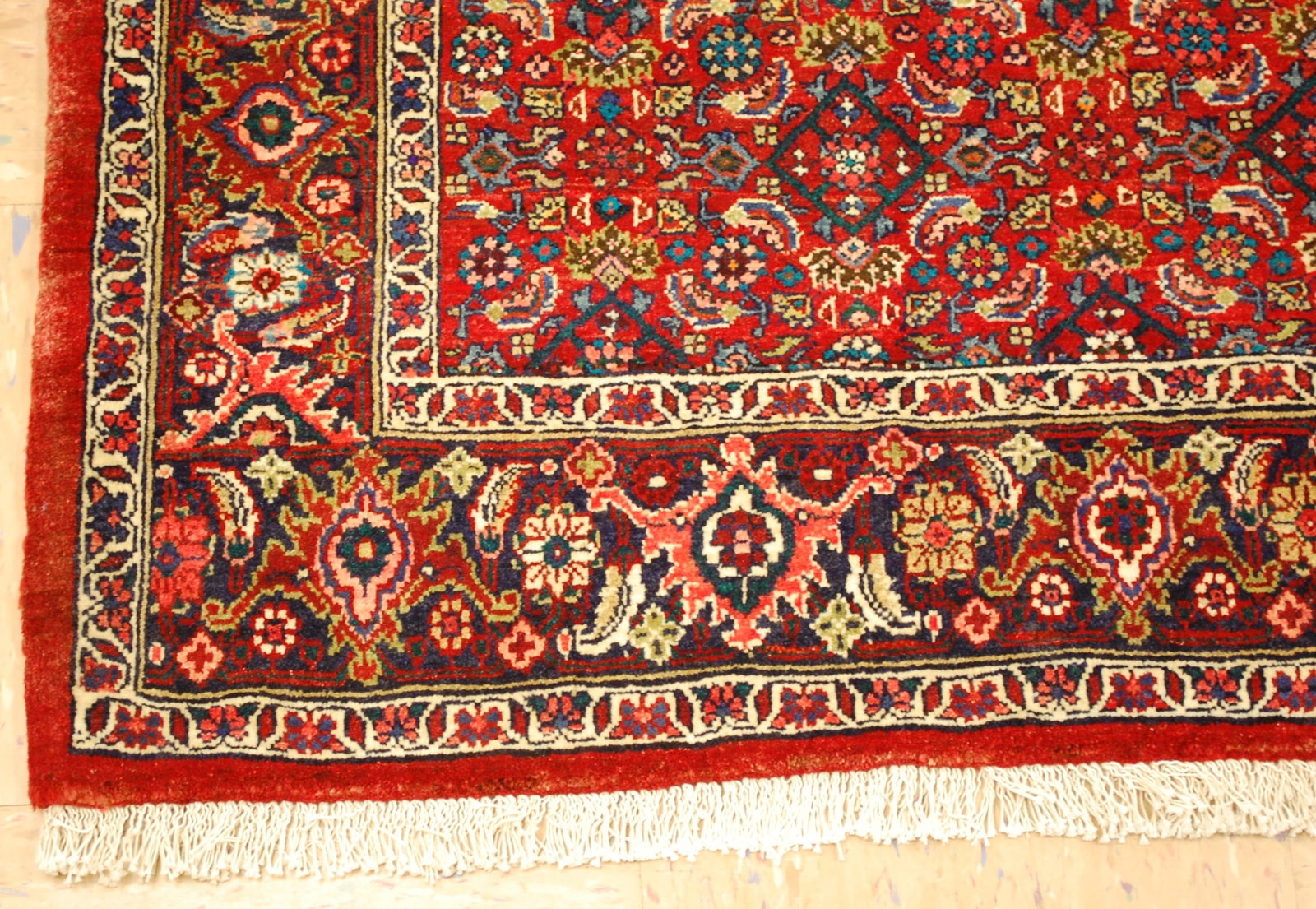 PERSIAN-BIJAR RUG 3'6" x 5'6" - 3