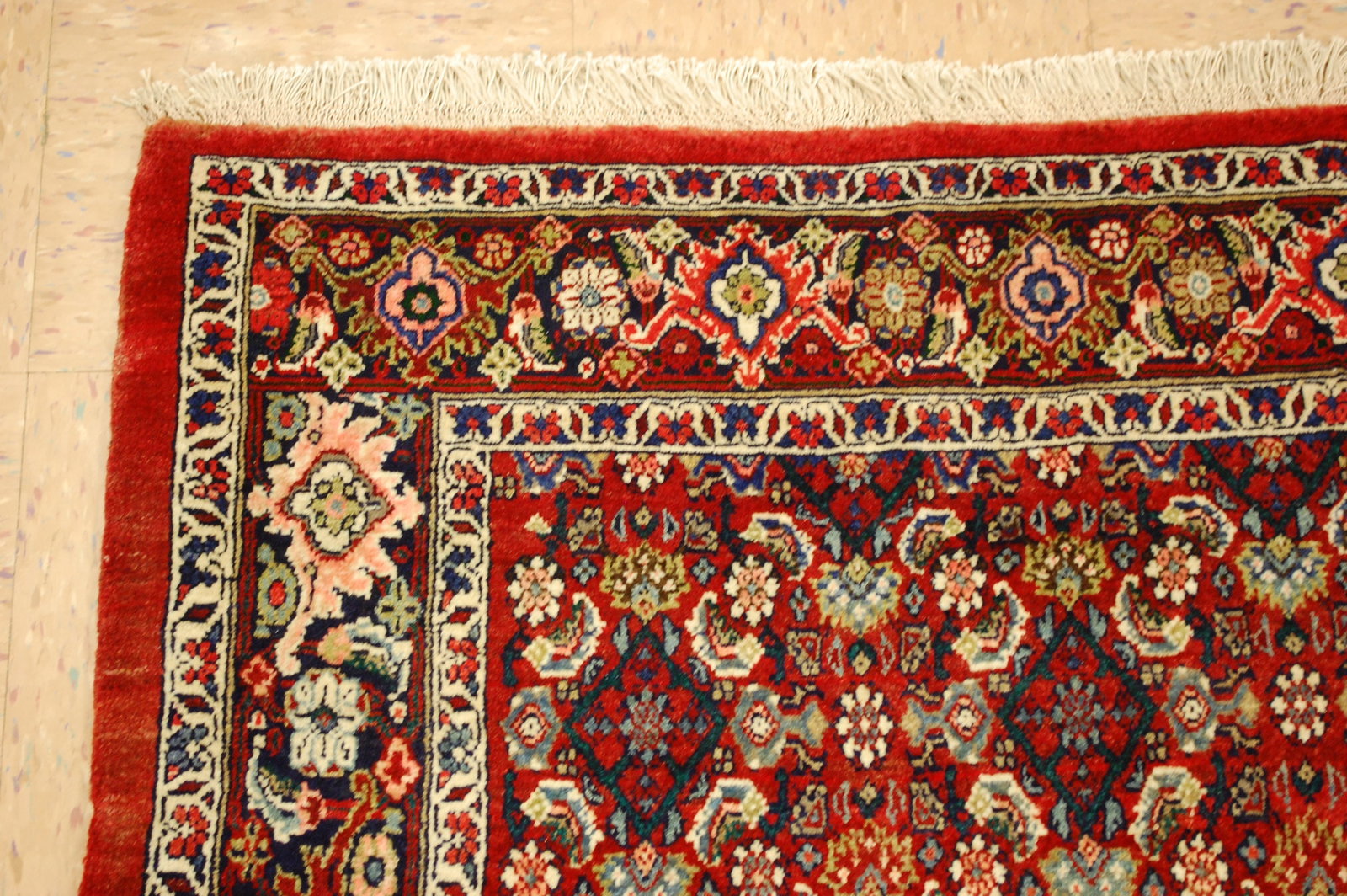 PERSIAN-BIJAR RUG 3'6" x 5'6" - 4