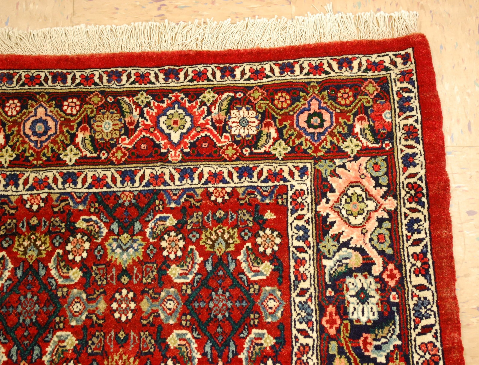 PERSIAN-BIJAR RUG 3'6" x 5'6" - 5