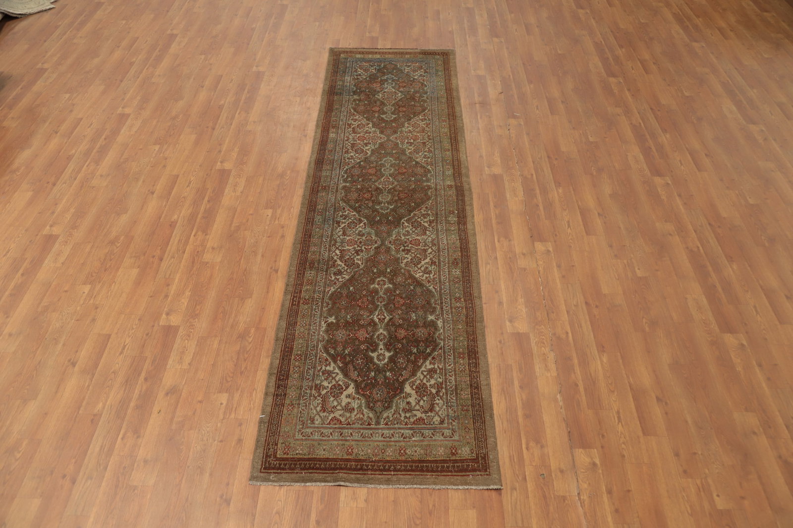 Pre-1900 Vegetable Dye Bibikabad Persian Runner Rug 3x10 - 4