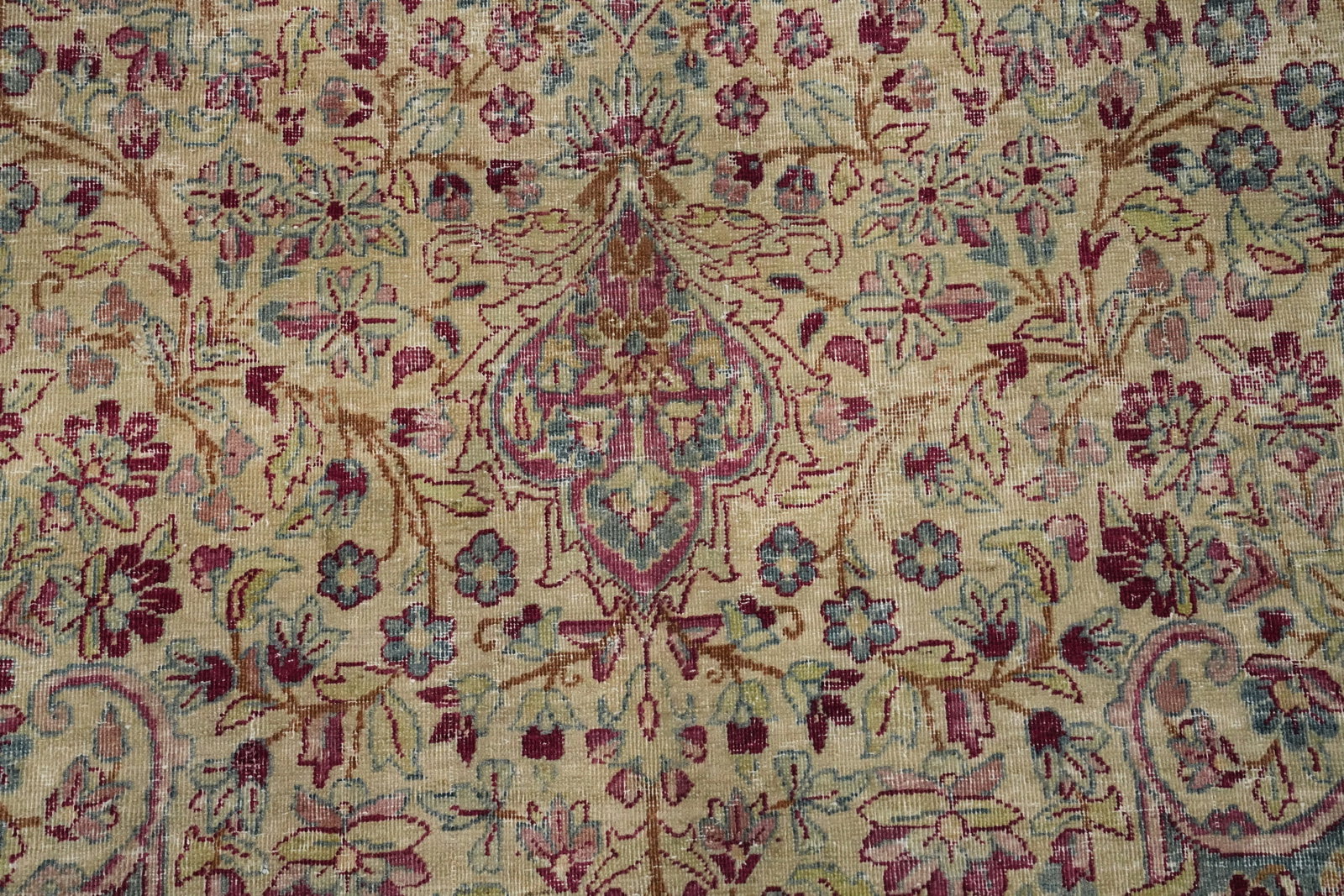 Pre-1900 Vegetable Dye Kerman Ravar Persian Area Rug 8x11 - 6