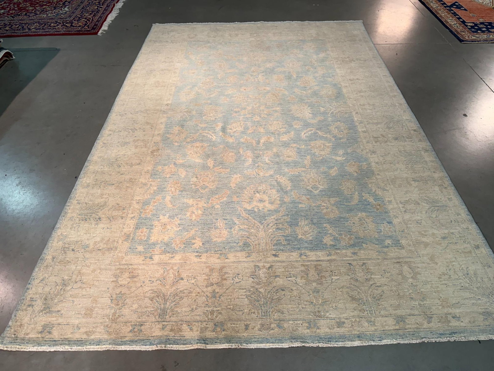 Exquisite Zighler Rug 6.8x9.8 - 10