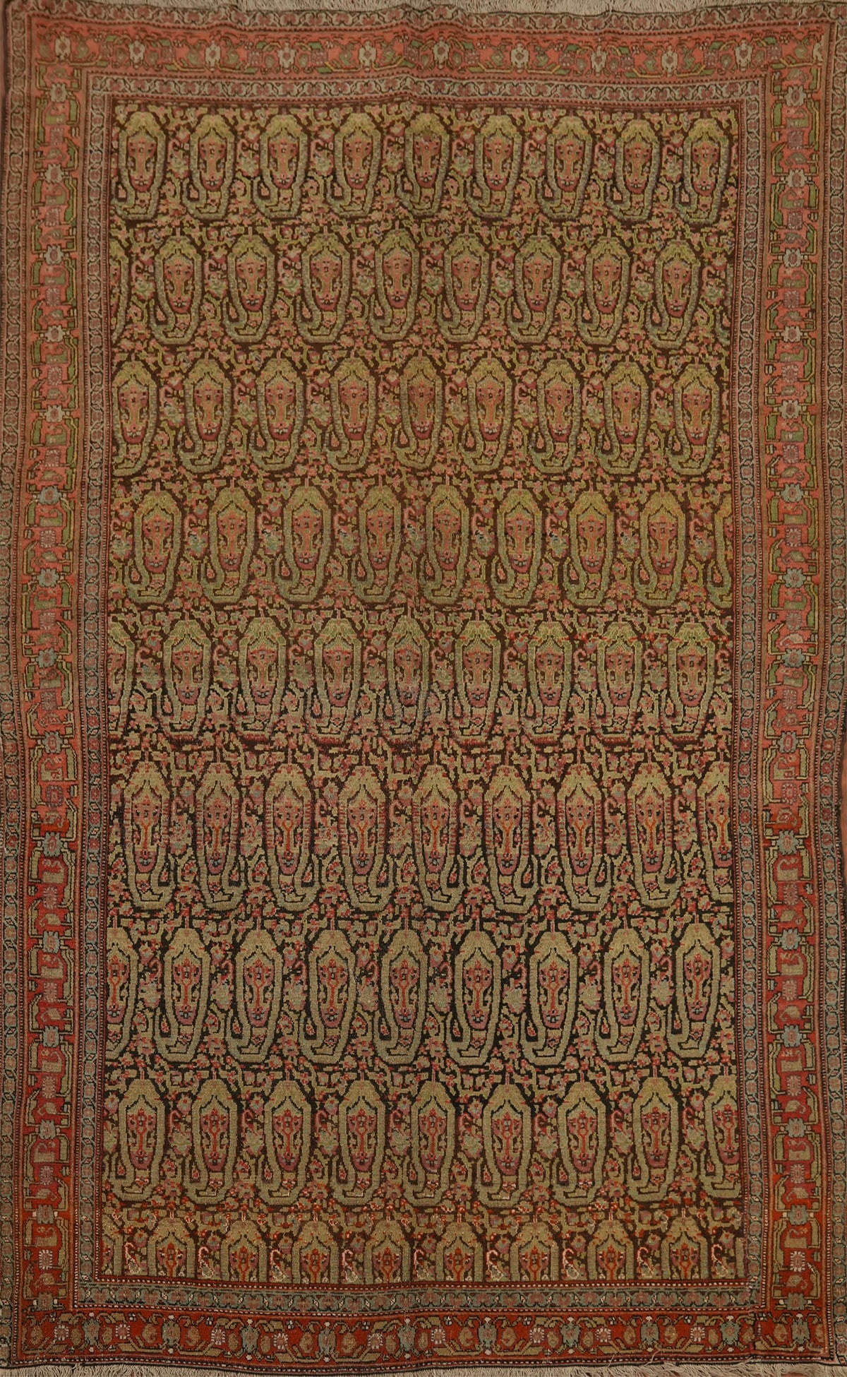 Pre-1900 Antique Vegetable Dye Wool Senneh Persian Rug 4x6 (1 of 15)