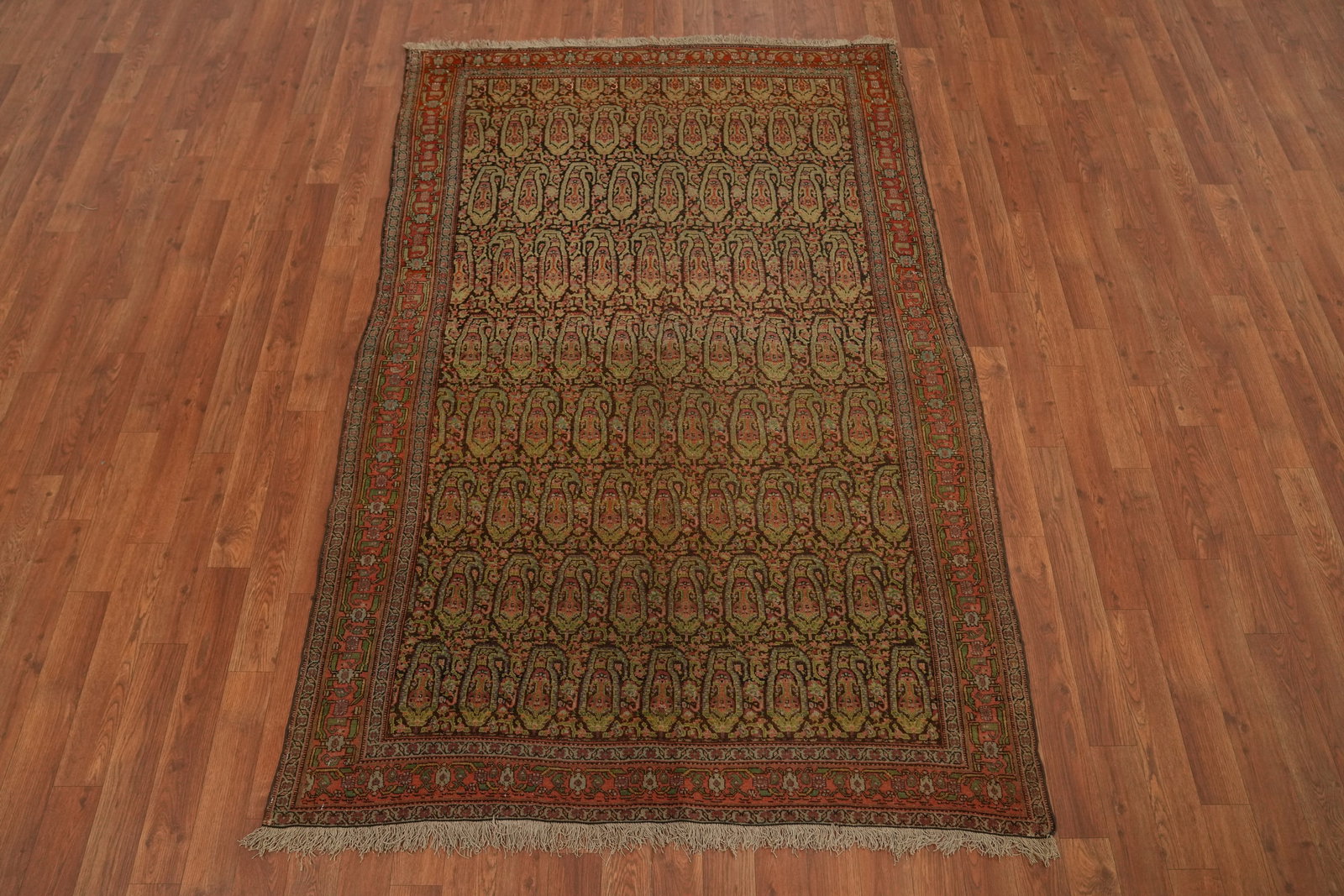 Pre-1900 Antique Vegetable Dye Wool Senneh Persian Rug 4x6 - 4