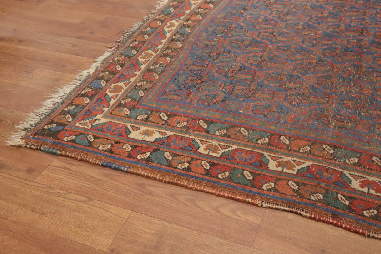 Pre-1900 Antique Vegetable Dye Bidjar Halvaei Persian Rug 4x6 - 12