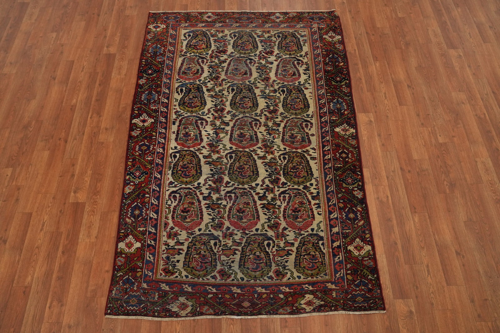 Pre-1900 Antique Sultanabad Vegetable Dye Persian Rug 4x6 - 4