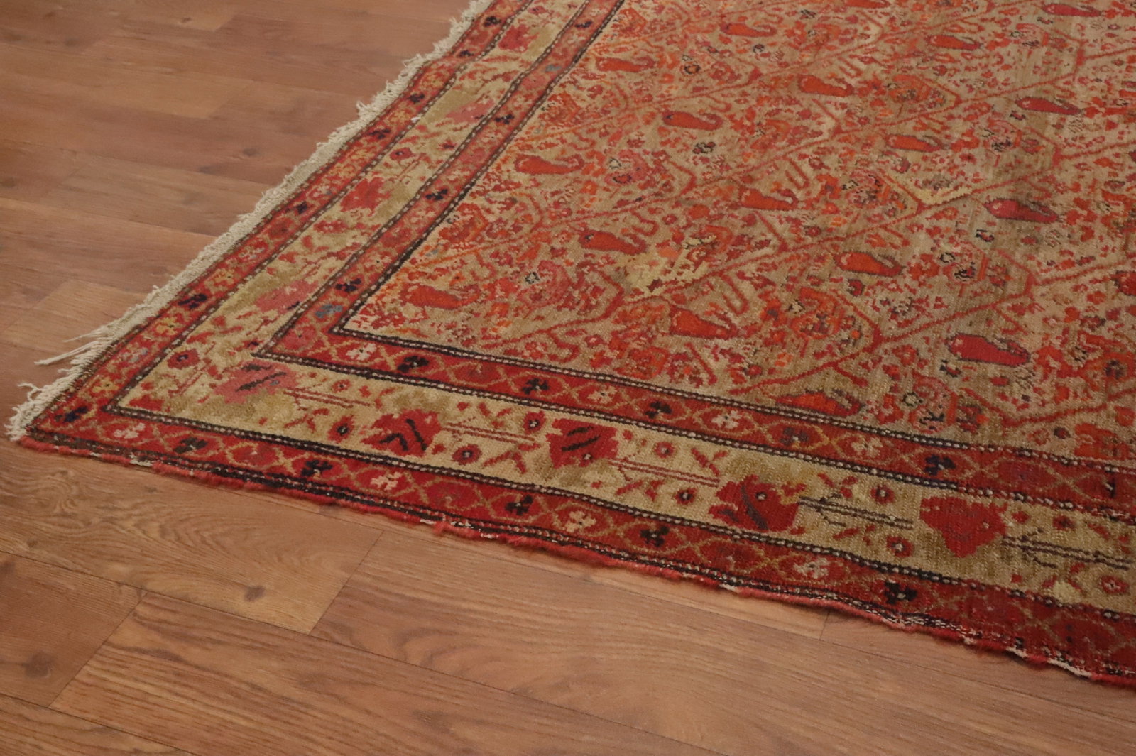 Pre-1900 Antique Sarouk Farahan Vegetable Dye Persian Rug 4x6 - 11