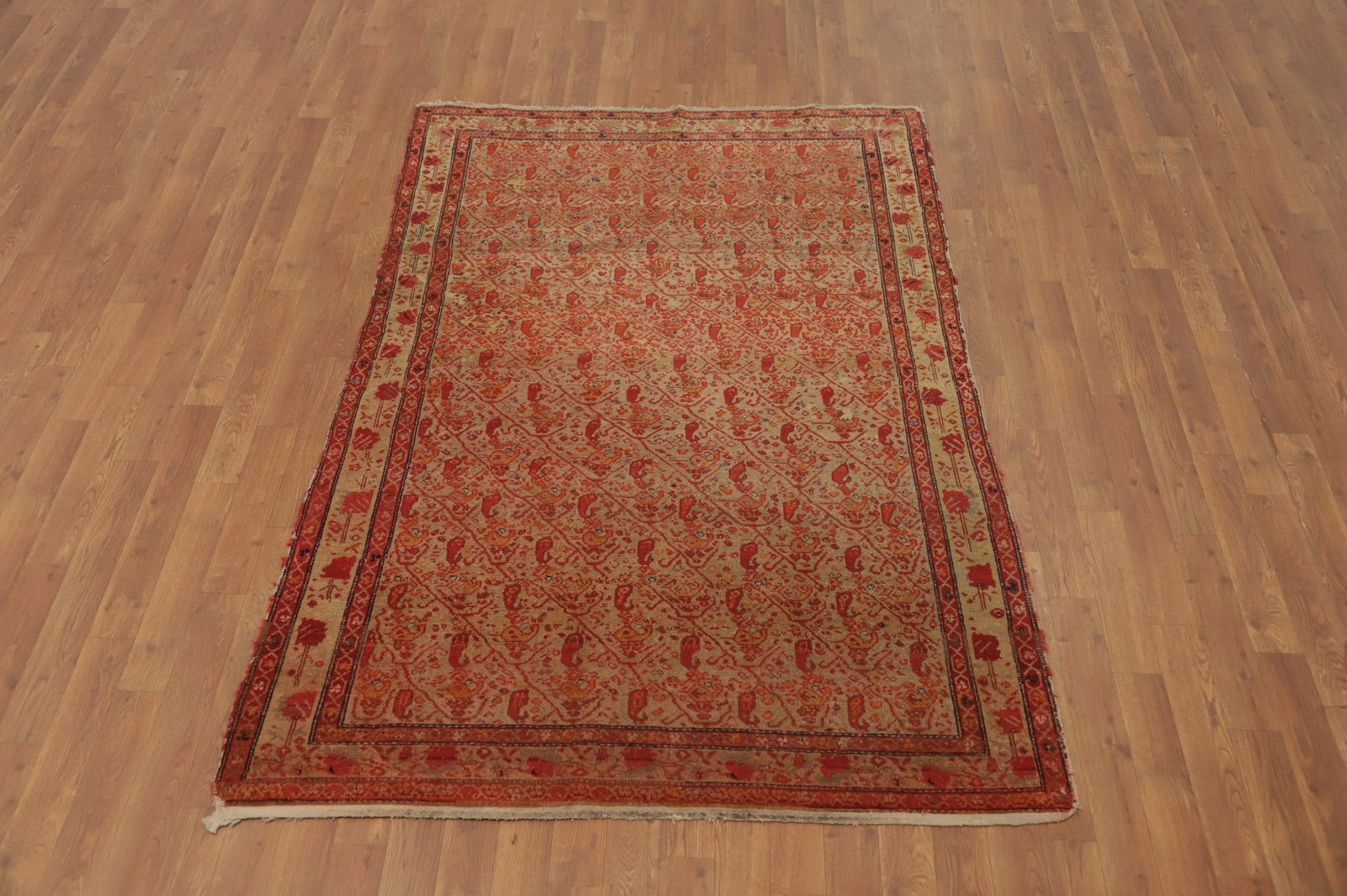 Pre-1900 Antique Sarouk Farahan Vegetable Dye Persian Rug 4x6 - 2