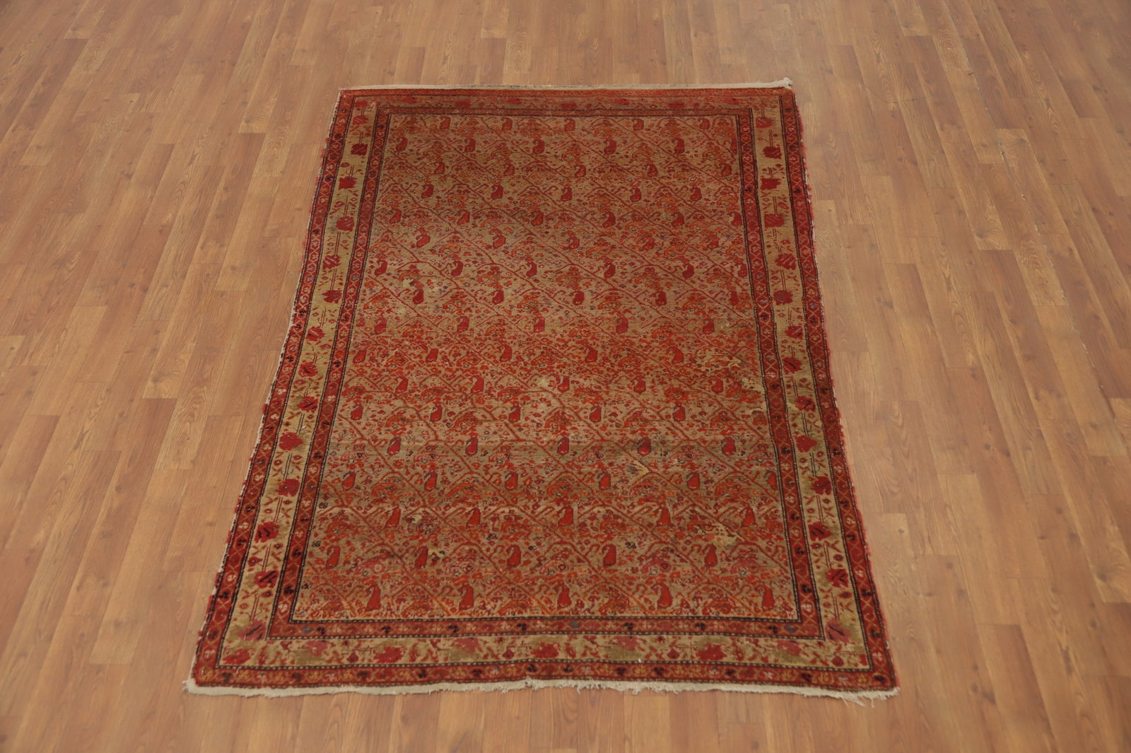 Pre-1900 Antique Sarouk Farahan Vegetable Dye Persian Rug 4x6 - 4