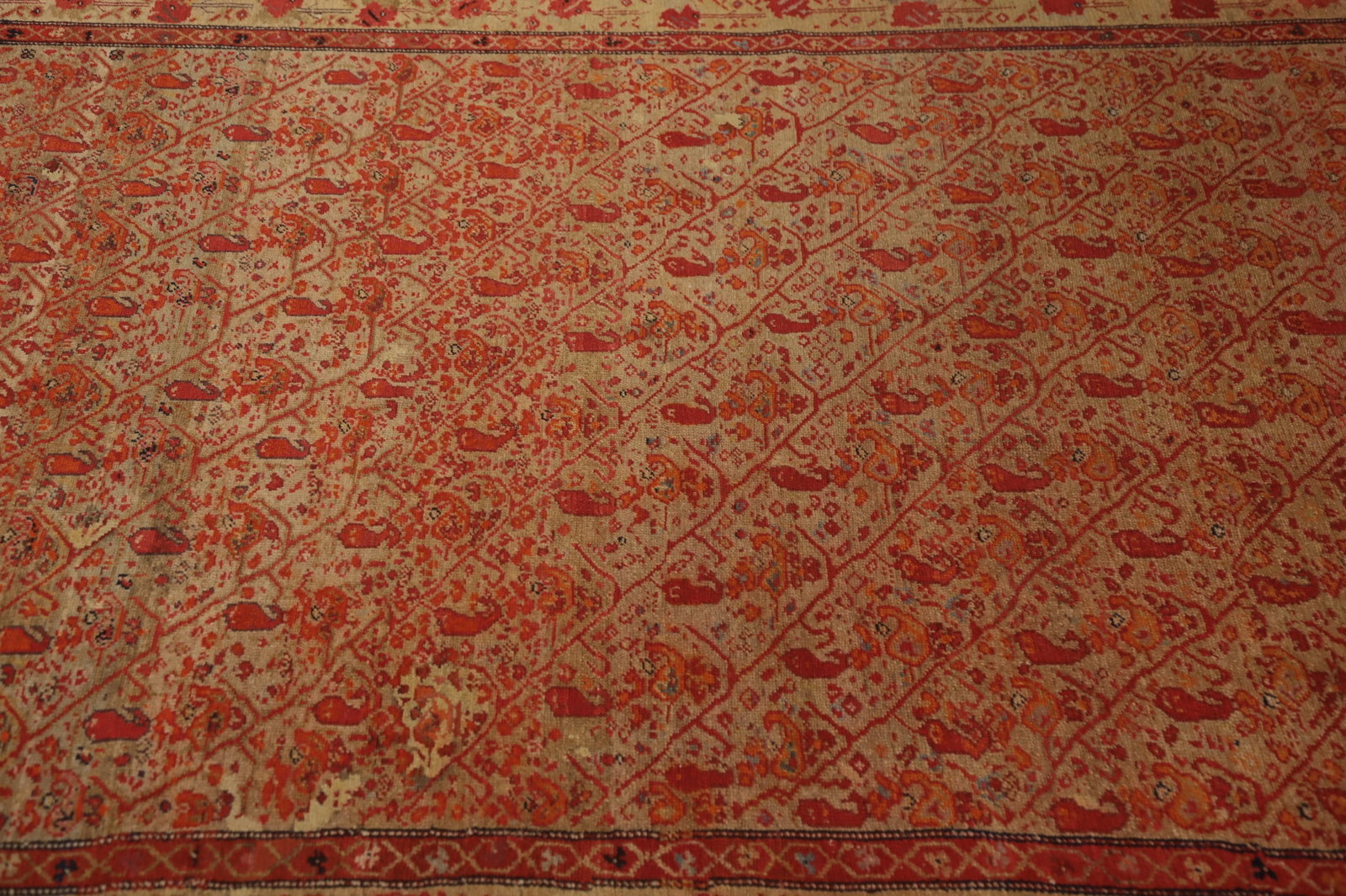 Pre-1900 Antique Sarouk Farahan Vegetable Dye Persian Rug 4x6 - 5