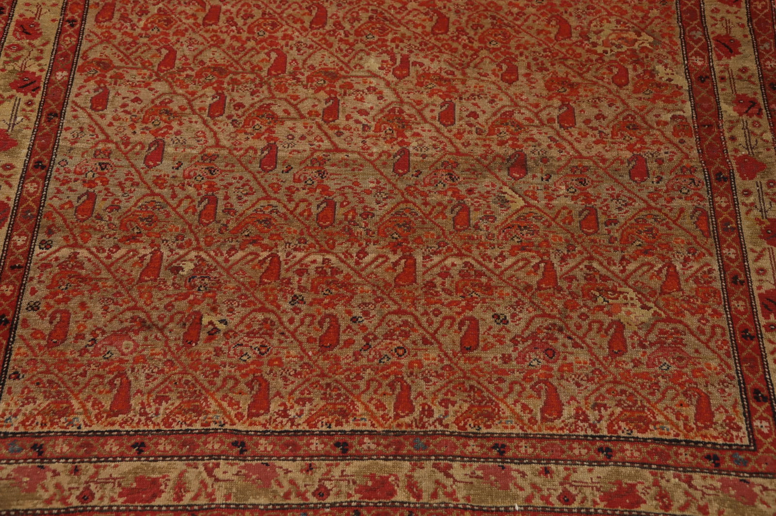 Pre-1900 Antique Sarouk Farahan Vegetable Dye Persian Rug 4x6 - 6