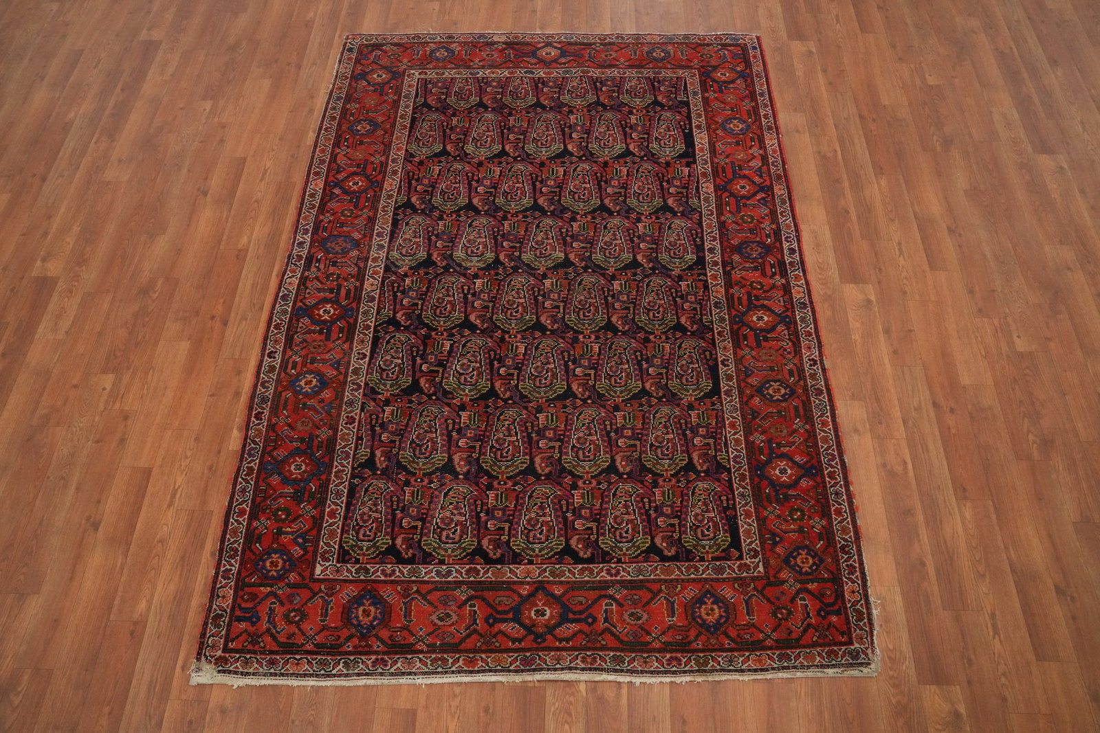 Antique Vegetable Dye Senneh Persian Rug 5x7 - 4