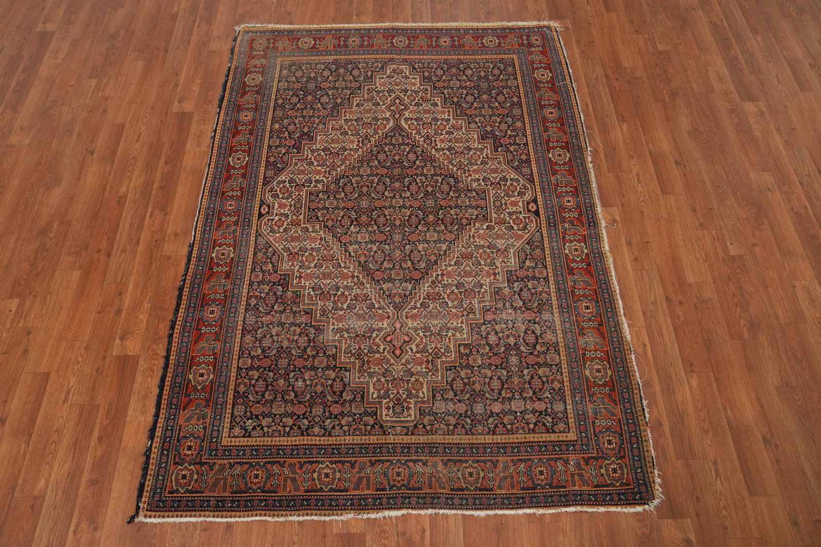 Pre-1900 Antique Senneh Persian Rug 4x6 - 2