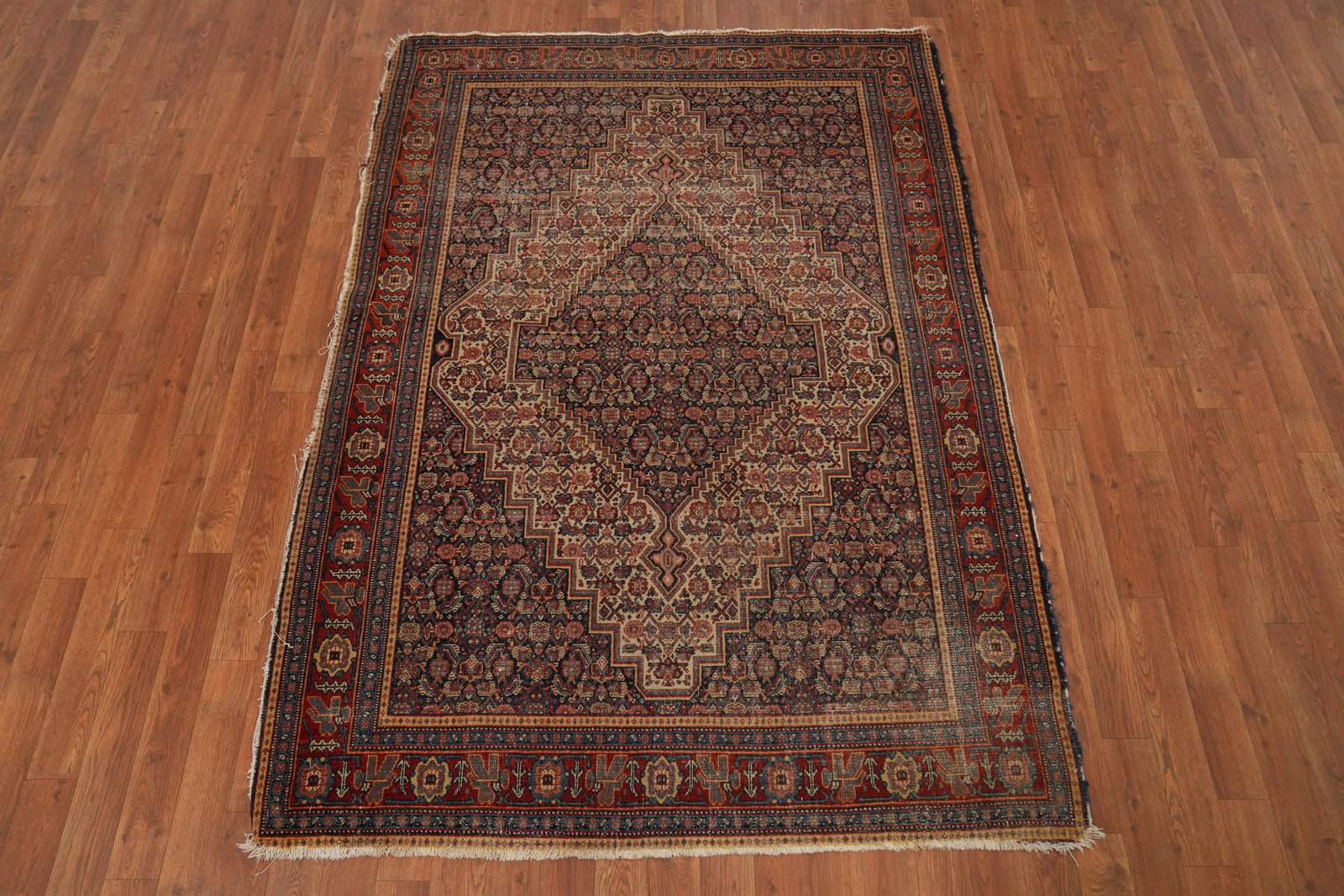 Pre-1900 Antique Senneh Persian Rug 4x6 - 4