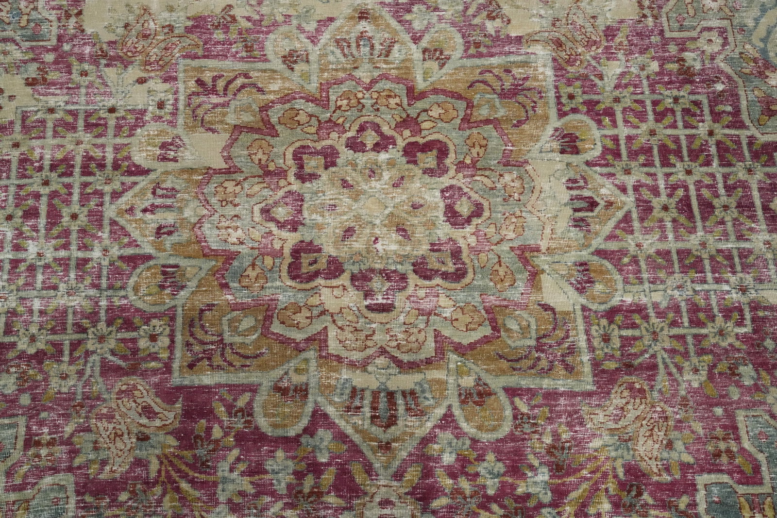 Pre-1900 Antique Kerman Ravar Vegetable Dye Persian Rug 15x20 - 5