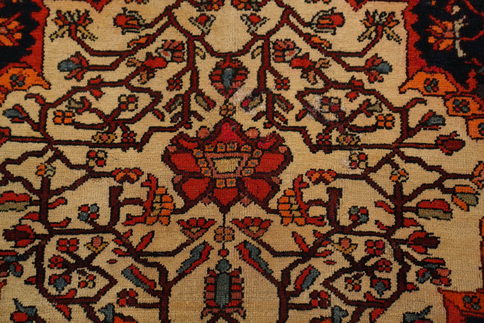 Antique Sarouk Farahan Vegetable Dye Persian Rug 5x6 - 5
