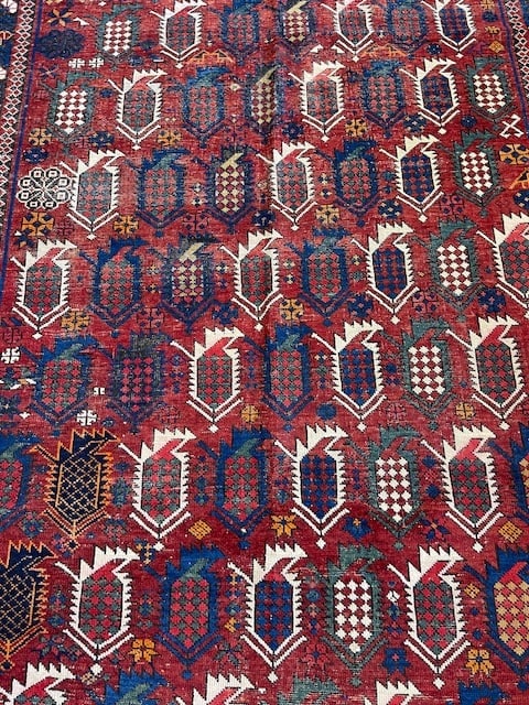 Antique Shirvan caucasian Rug-4936 - 4