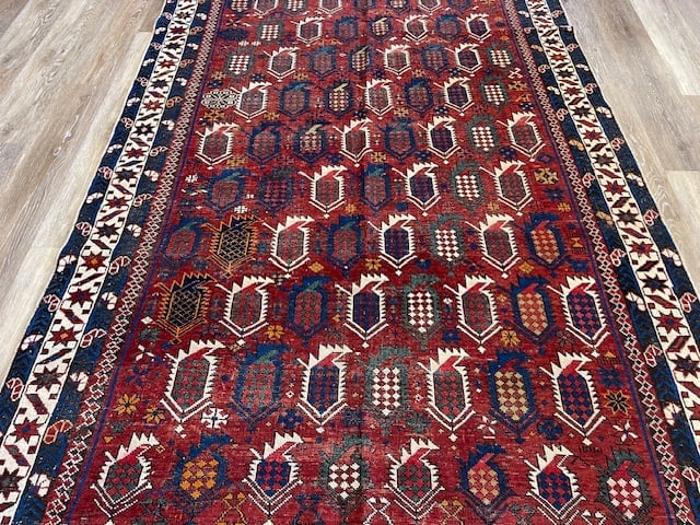 Antique Shirvan caucasian Rug-4936 - 9