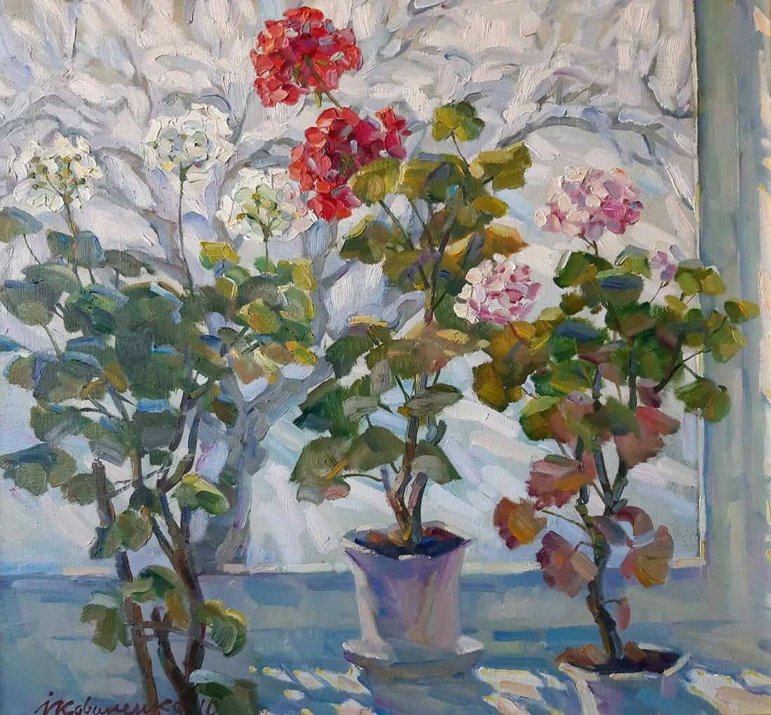 Oil painting Flowers are growing Kovalenko Ivan Mikhailovich: NoKoval 57In "Flowers are Growing" by Ukrainian artist Kovalenko Ivan, the artist depicts three potted plants, each in full bloom, arranged by a window. The contrasting red, white, and pink blossoms s