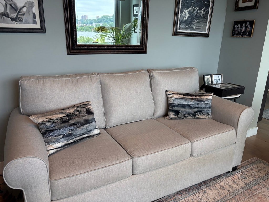 Contemporary Sleeper Sofa - 9