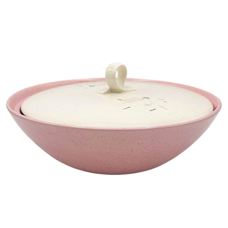 110 Piece "Tickled Pink" Serverware Dinner Plate Platter Bowl Set By Vernonware - 10