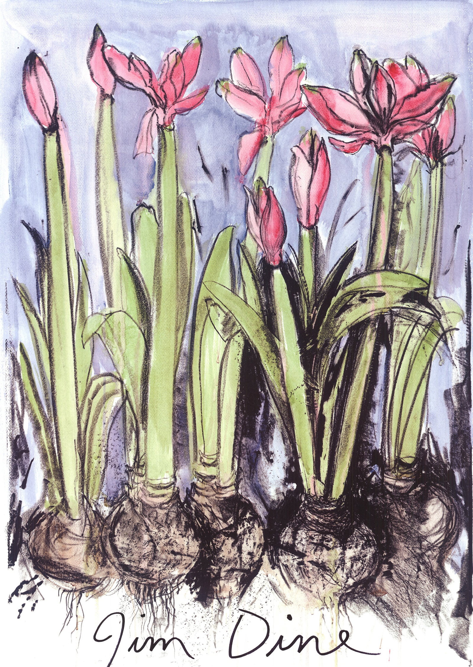 Jim Dine - Anemones - 2004 Offset Lithograph 35 x 25"" - 2