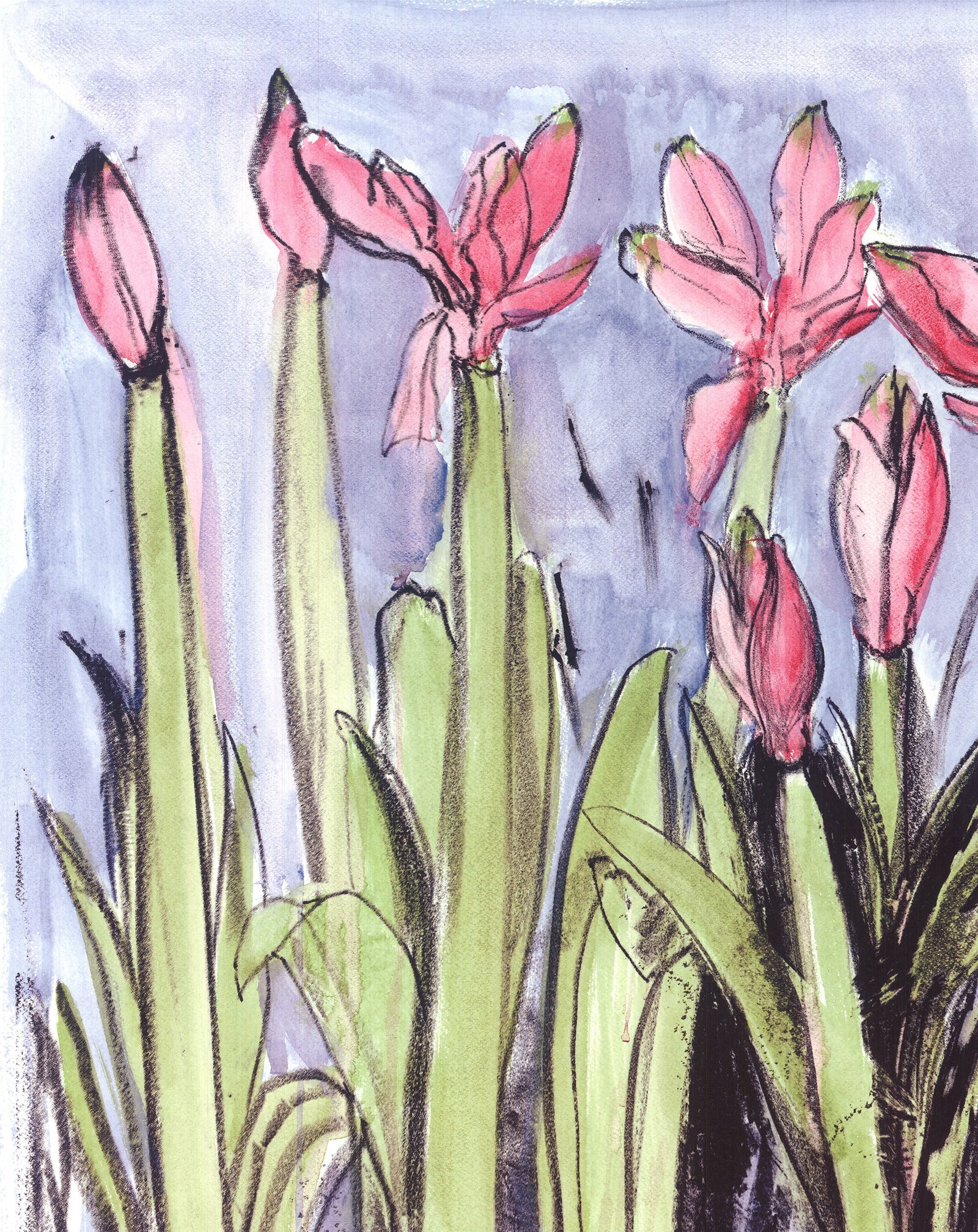 Jim Dine - Anemones - 2004 Offset Lithograph 35 x 25"" - 3