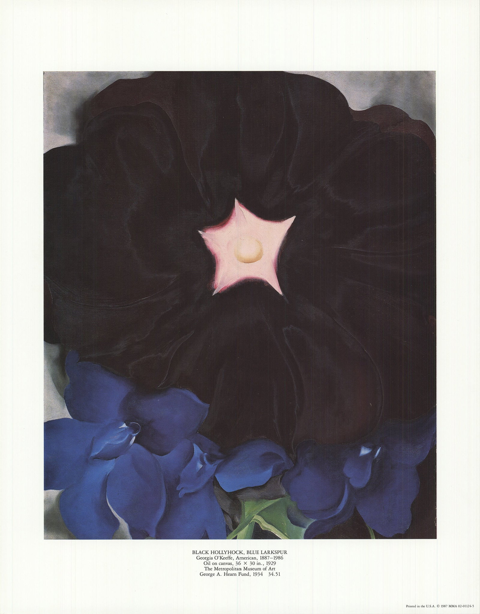 Georgia O'Keeffe - Black Hollyhock, Blue Larkspur - 1987 Offset Lithograph 14 x 11"": Title: Georgia O'Keeffe - Black Hollyhock, Blue Larkspur - 1987 Offset Lithograph 14 x 11" Description: "Black Hollyhock, Blue Larkspur" by Georgia O'Keeffe, 1987 Unsigned Offset Lithograph. Paper siz