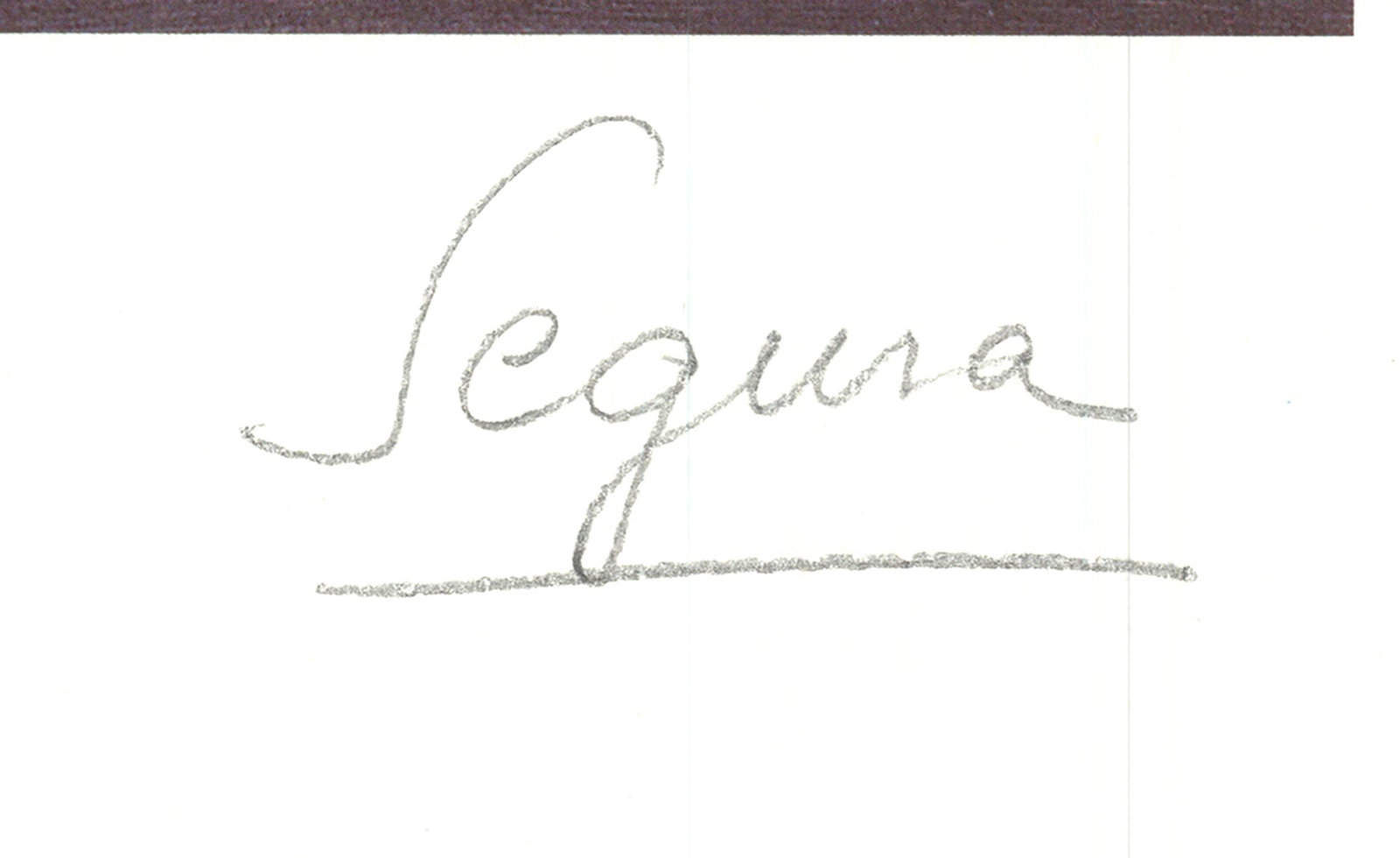 Luis Segura - Bouquet - Offset Lithograph - SIGNED 20 x 13.25"" - 2
