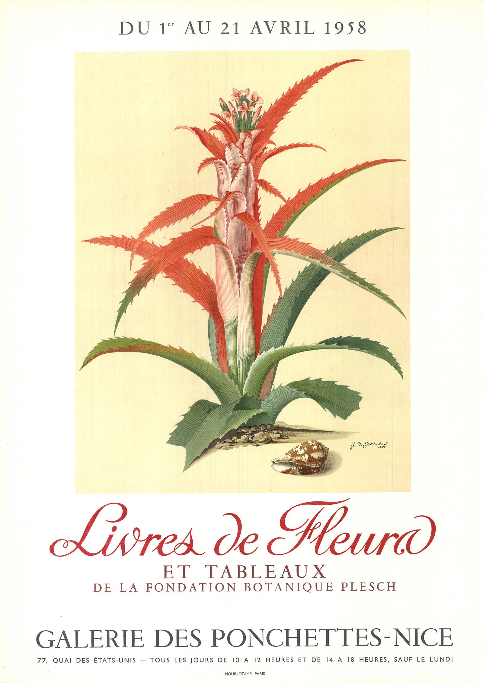 Georg Dionysius Ehret - Flower Books and Paintings from the Plesch Botanical Foundation - 1958: Title: Georg Dionysius Ehret - Flower Books and Paintings from the Plesch Botanical Foundation - 1958 Lithograph 25.5 x 18.25" Description: "Flower Books and Paintings from the Plesch Botanical