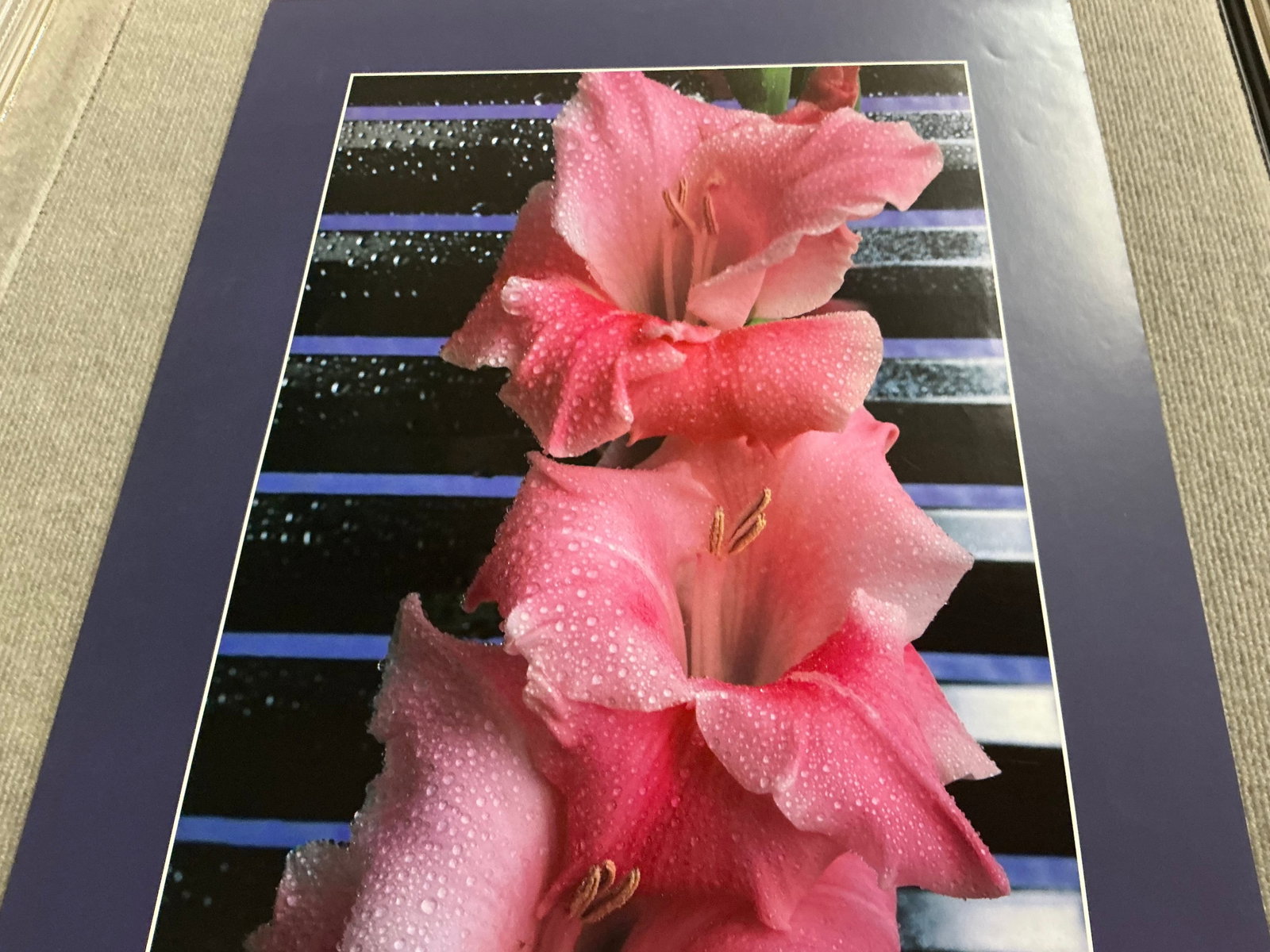 James Cordes - Gladiolus - 1983 Offset Lithograph 28 x 20"" - 10
